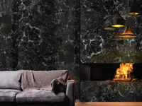 Окаменелое дерево Petrified Wood Black